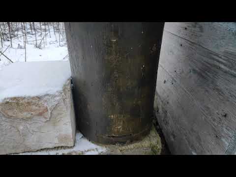 Пчеловодство. Роеловство. Эксперимент зимовка ловушки колоды. #Пчеловодство #Роеловство #Рой