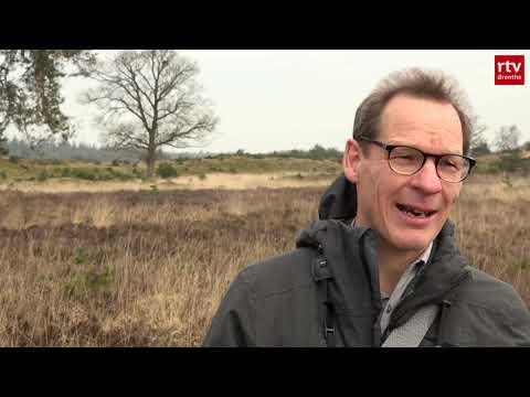 Maand van de Filosofie: "Kennis maakt echt gelukkig"