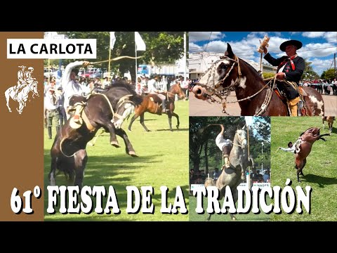 LA CARLOTA 1/2 🐎 61º FIESTA DE LA TRADICIÓN - APADRINANDO Nº 422