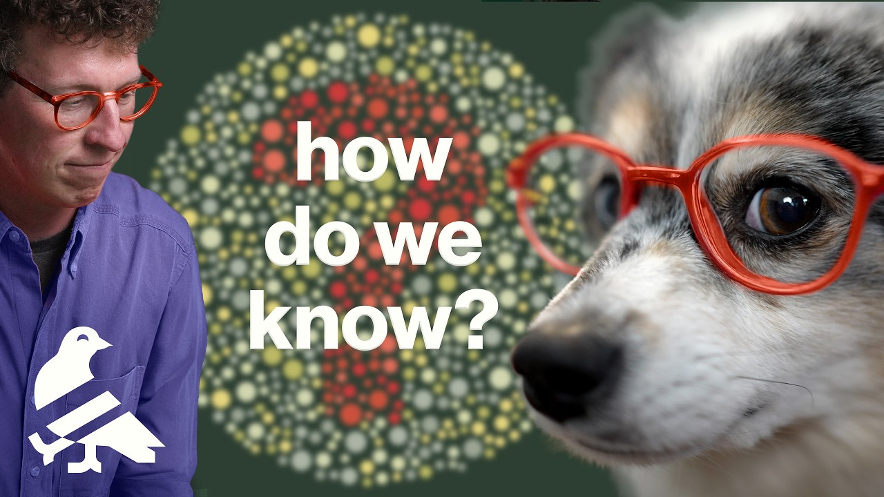 What your dog sees (w/ Cleo Abram)