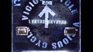 Lynyrd Skynyrd - All Funked Up.wmv