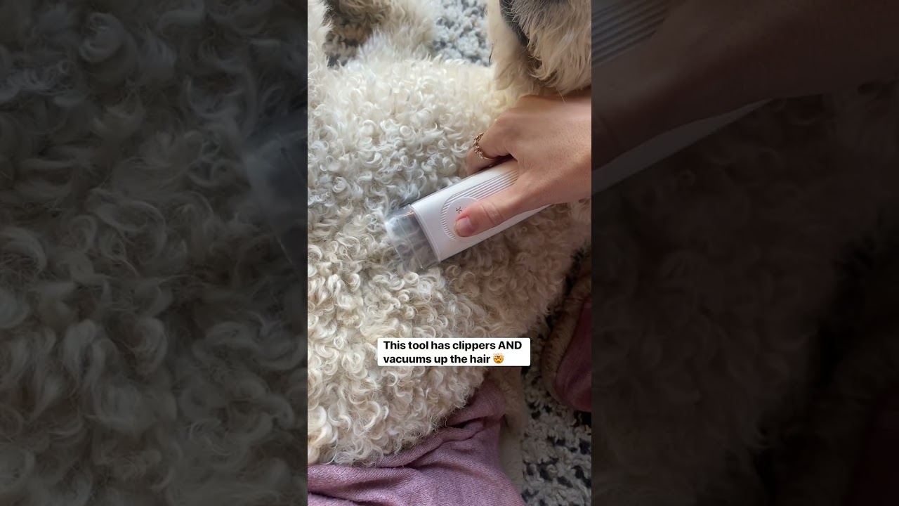 Easy DIY Dog Grooming With This Amazon Hack | Grooming Vacuum