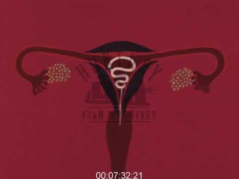 Sex Education and Contraception, 1970s - Film 1016829 ▶10:39