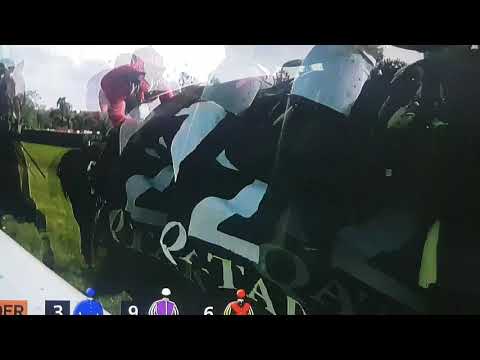 Prix de L'Arc de Triomphe 2019-Waldgeist-Andre Fabre