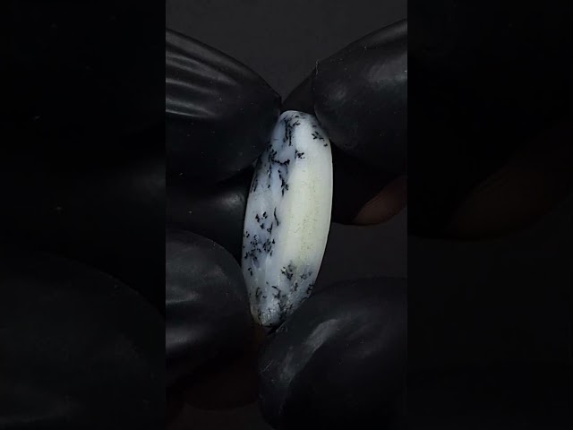 حجر اوبال شجري طبيعي