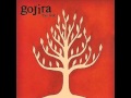 Gojira - Embrace The World