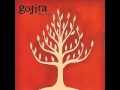 Gojira - Embrace The World