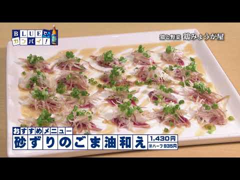 鶏と野菜 鶏みょうが屋（とりとやさい とりみょうがや） （宮崎市）