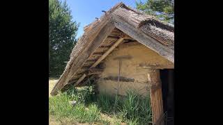 072 Klein Köris ganz groß