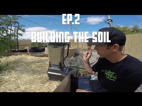 THE MOUNTAIN PROJECT - EP. 2 (Building the Soil)