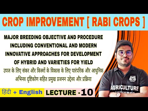 Crop Improvement rabi crops syllabus analysis bsc av 6th semester
