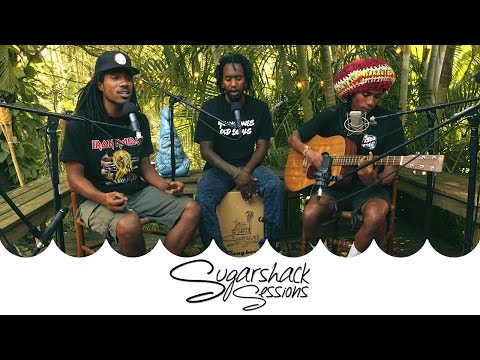 The Late Ones - Visual EP (Live Acoustic) | Sugarshack Sessions