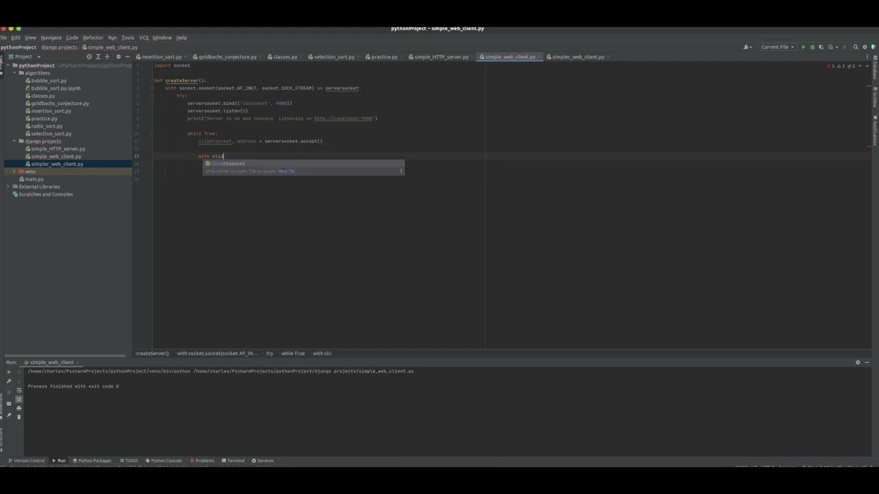 Building a Basic Web Server in Python: A Step-by-step guide