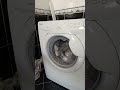 Candy Optima CO106 F Washing Machine