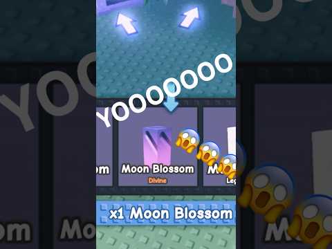1000x Moonlit Points 💀| Grow A Garden Roblox MOON BLOSSOM?!? 🪻 🌙