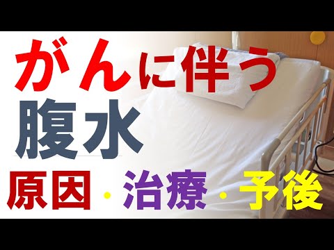 魚の病気の腹水