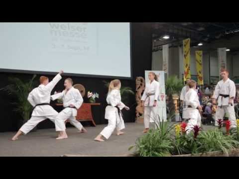 Messereportage Welser Herbstmesse 2014 Tag 2