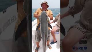 Hôtel Kasa Afrikana