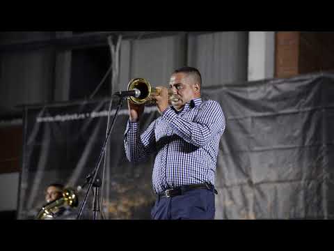 Pirotski Trubaci BRASS