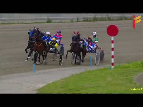 VI Corsa del 19 Marzo 2022 - 3 Anni - Metri 1600 - Gentlemen