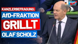 Regierungsbefragung: AfD-Fraktion grillt Kanzler Scholz! - Petr Bystron & Bernd Baumann