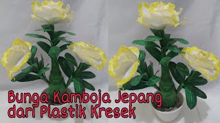 Cara Membuat Bunga Kamboja Jepang dari Plastik Kresek