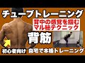 【背筋】背中に効かない方は必見!初心者向けチューブトレーニング