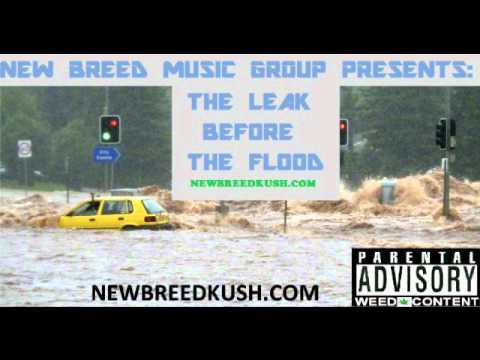 Mike Klout Feat. New Breed Dexx x A+ Nostaljack; Cool x High [Track 12]