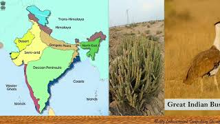 Biogeographic Zones of India | Mega Biodiversity Nation | Biodiversity | EVS | Environmental Studies