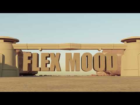 Video thumbnail for Flex Mood