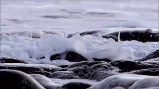 Telephones  - Lotusland (Sunrise Mix)