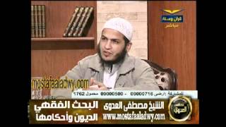 منوعات 618 سلسلة البحث الفقهي قناة الحافظ 34 الديون واحكامها