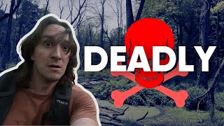 The DEADLIEST thing you'll ever run into on the trail
