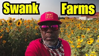 Swank Farms