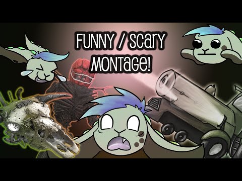 MAYONAISE OR KETCHUP? 🐇 Shiny Solus' Best Clips Montage 🐇