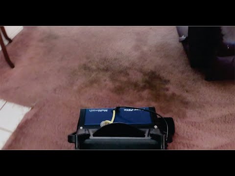 Green Rhino carpet cleaning video.