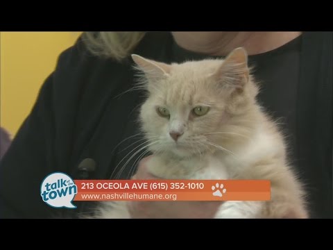 Pets of the Week