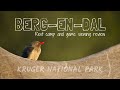 BERG-EN-DAL Rest Camp & Game Viewing Review | Kruger National Park