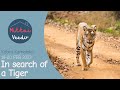 Safari Trip To Kabini