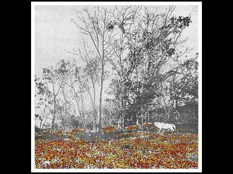 The Way You Talk - The Red Pears