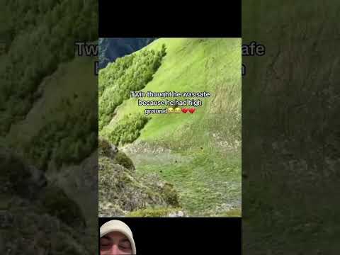 Gorillas can move really fast