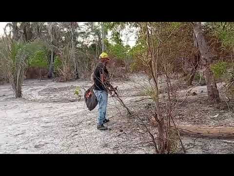 DETECTORISMO NO CANTO DOS CUPINS MONSENHOR GIL PIAUI 