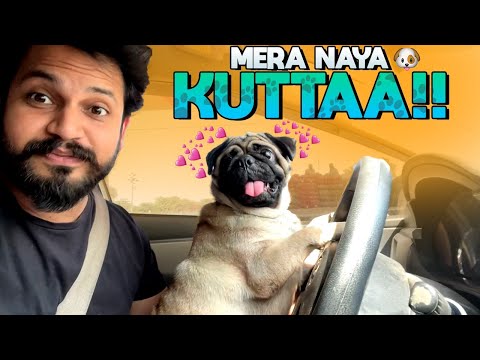 Mera nayaa kuttaa! 🐶