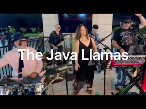 Promotional video thumbnail 6 for Java Llamas
