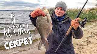 Можно ли добавлять корицу в прикормку для рыбы