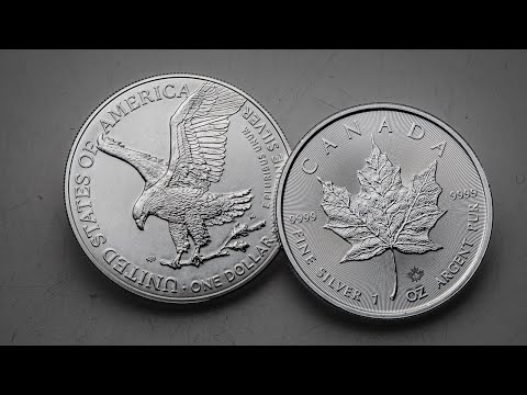 Silver Eagles vs Silver Maples: Which is Right for You?