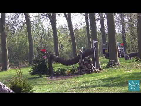 Horseheath BE100 XC round - High Glen Keira