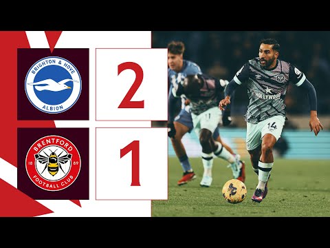 FC Brighton & Hove Albion 2-1 FC Brentford Londra