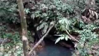 Bungle In The Jungle by Jethro Tull