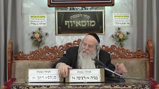 הרב אברהם שכטר | מוסר בפרשה | בית הכנסת מוסאיוף (בית הכנסת מוסאיוף) - התמונה מוצגת ישירות מתוך אתר האינטרנט יוטיוב. זכויות היוצרים בתמונה שייכות ליוצרה. קישור קרדיט למקור התוכן נמצא בתוך דף הסרטון